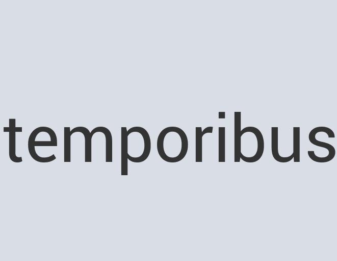 Lightweight Wooden Mannequin Mime