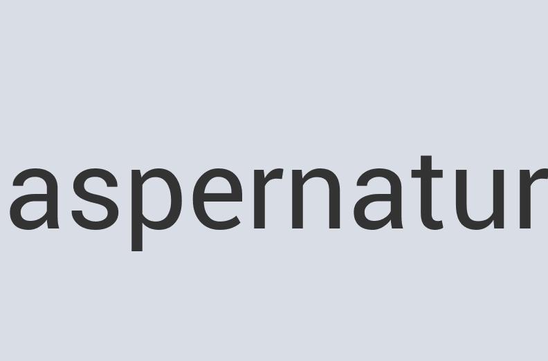 Enormous Bronze Spam Sushi