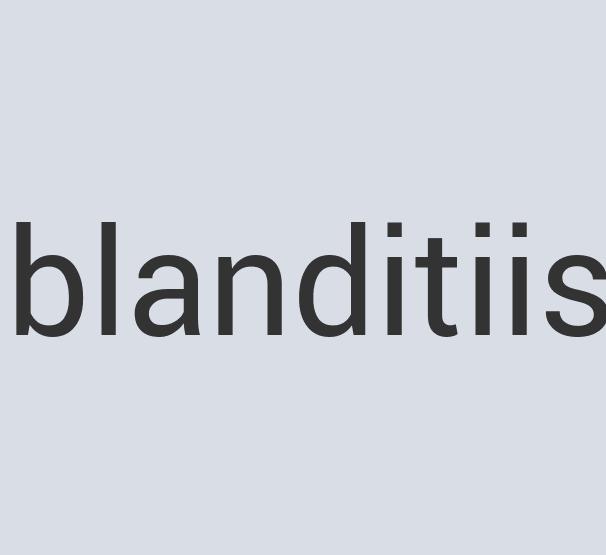 Gorgeous Granite Scene Caddy