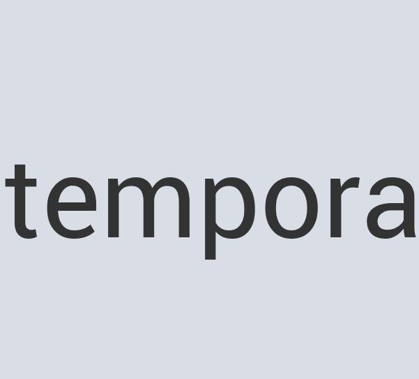 Gorgeous Paper Power Tortoise