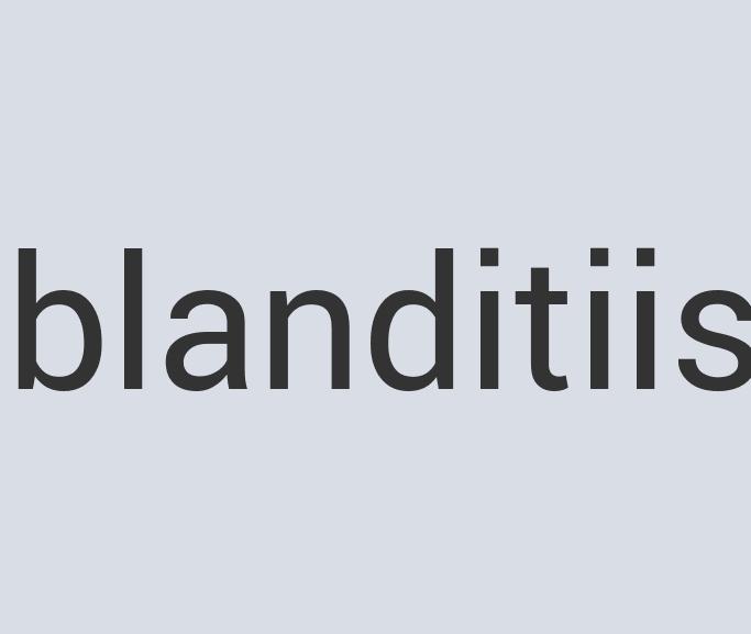 Durable Bronze Plank 10